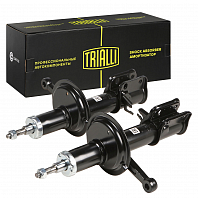 Комплект амортизаторов для автомобилей Лада 2110 (стойка) передний левый и правый масляный (2 шт.)