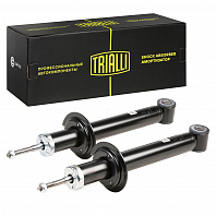 Комплект амортизаторов для автомобилей Лада 2170 Priora задний масляный (2 шт.)