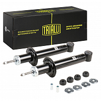 Комплект амортизаторов для автомобилей Лада 2110 задний масляный (2 шт.)