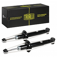 Комплект амортизаторов для автомобилей Лада Granta (10-) задний газовые (2 шт.)