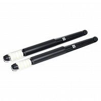 Комплект амортизаторов для автомобилей Ford Focus II (05-) седан / хетчбэк задний (2 шт.)