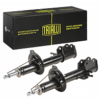 Комплект амортизаторов для автомобилей Chevrolet Lacetti (04-) седан / хетчбэк задний левый и правый (2 шт.)