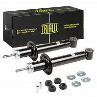 Комплект амортизаторов для автомобилей Лада 2108 задний масляный (2 шт.)