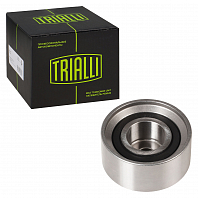 Ролик ГРМ для автомобилей Hyundai Accent (94-) (опорный)