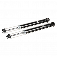Комплект амортизаторов для автомобилей Renault Logan (04-) задний (2 шт.)