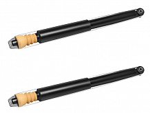 Комплект амортизаторов для автомобилей Ford Focus II (05-) седан / хетчбэк задний (2 шт.)