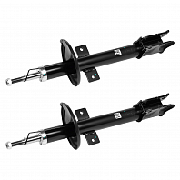 Комплект амортизаторов для автомобилей Renault Duster (10-) 4x4 задний (2 шт.)